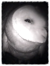 06287830-ced4-43c6-9ed1-12e1753af227_zps68d9168f.png