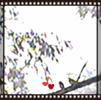 2313bd6e-3db0-4b91-891e-914152d37f58_zpse93bdaaa.png