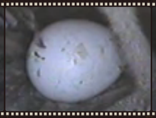 6516868e-4c79-4e5a-9a7b-b5c861f19d2b_zps49f1c031.png