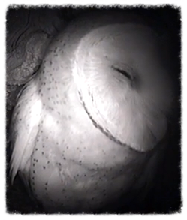 9b1fe879-f539-4f47-b899-b44fdd1e4754_zpsf4077b48.png