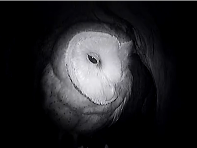 female4714_zpsb5e6b18c.png