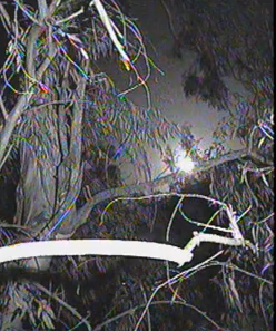 moonriseat121amon42014_zpsfe7fc00c.png