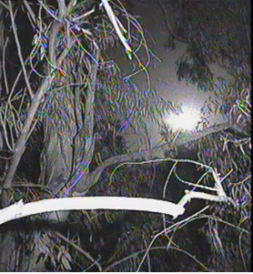 moonriseat131amon42014_zpsfc0b56c7.png