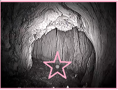 realstarofthestarrranch32114a_zpsf9401fc9.png