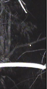 venus2_zps513ca7b0.png