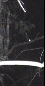 venus3_zps422431b5.png