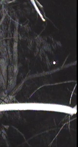 venus3on222_zpscd65d792.png