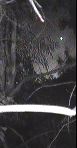 venus5_zps243941e6.png