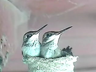 SRlastpicoftogether.png