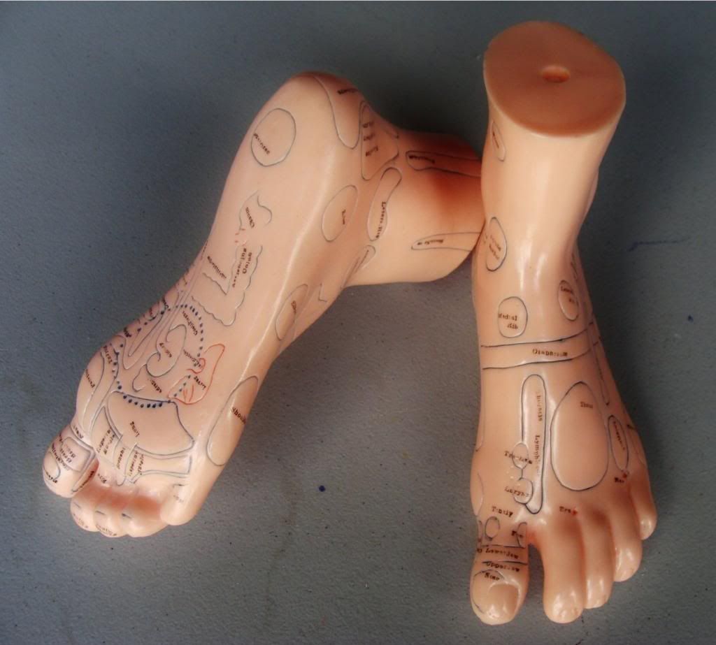 AcupunctureFoot17cm_zps52141ece.jpg