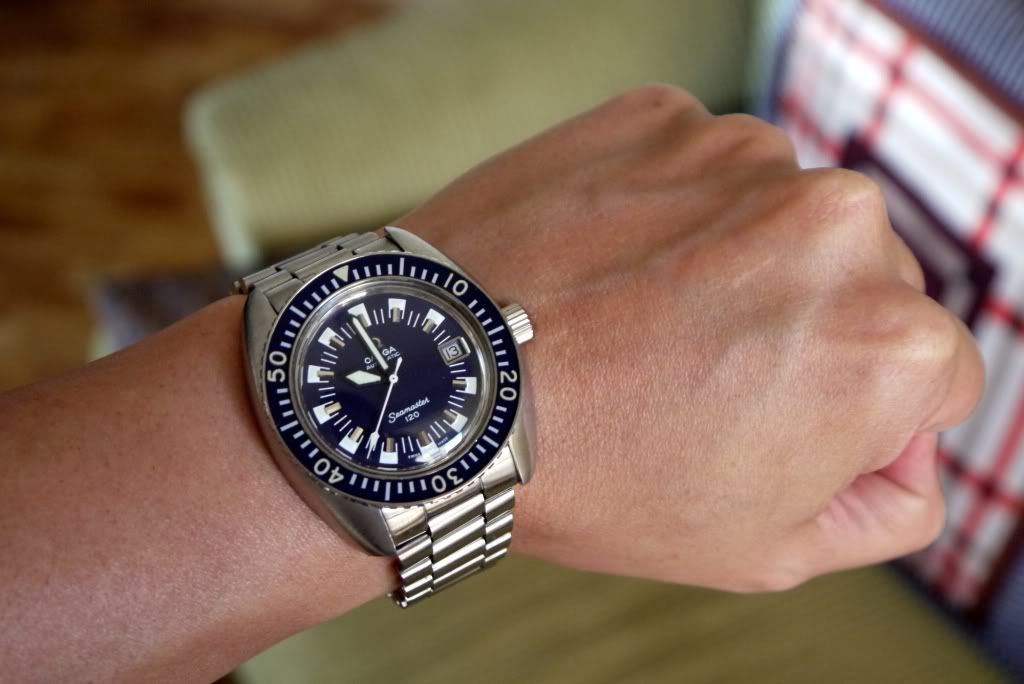 omega seamaster 120 review