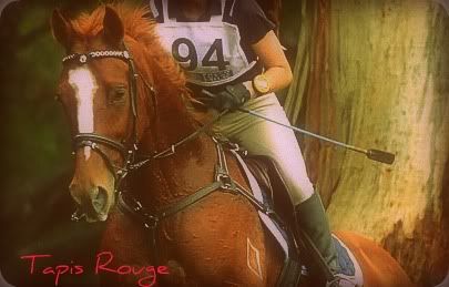 http://i1210.photobucket.com/albums/cc404/FlyingRed/260177_1971527642461_1071108956_2269950_2198236_n.jpg