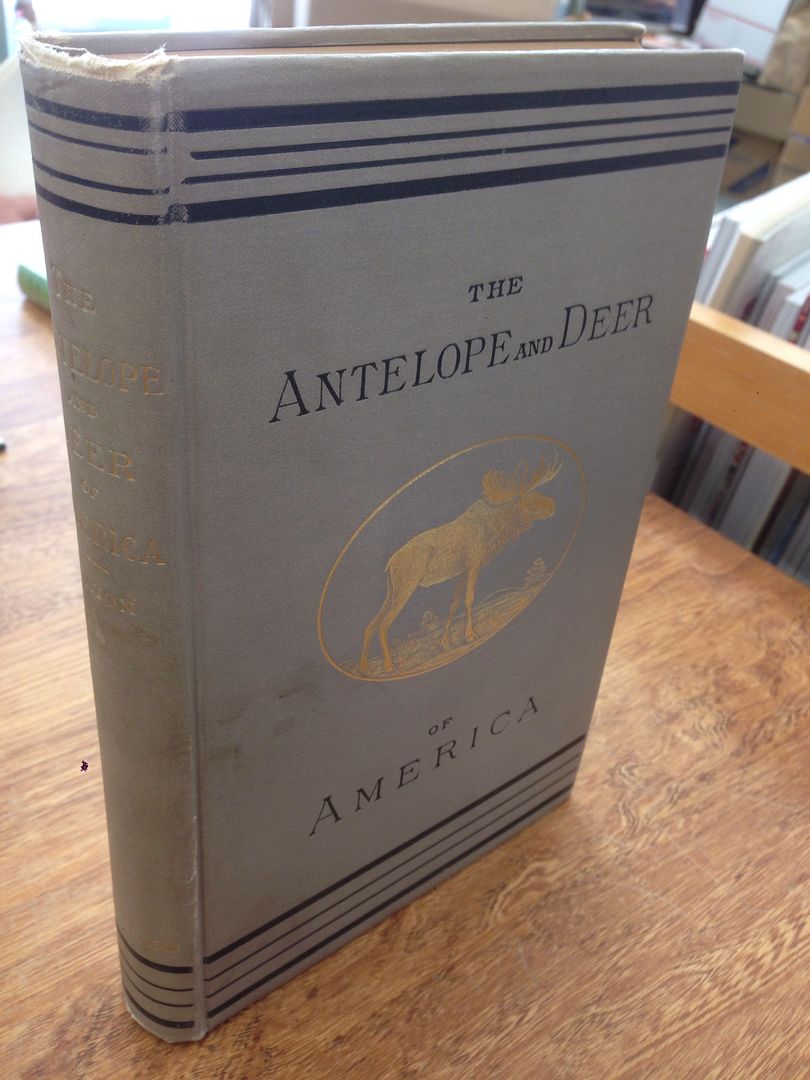 Image for The Antelope and Deer of America