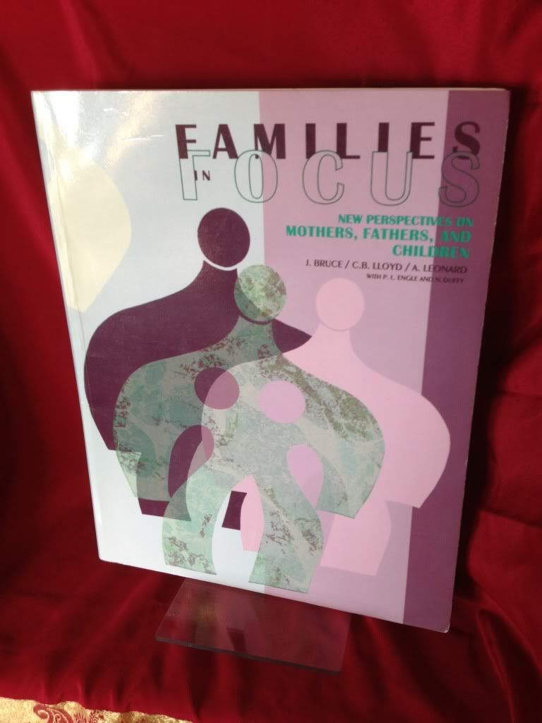 Image for Families in Focus: New Perspectives on Mothers, Fathers, and Children