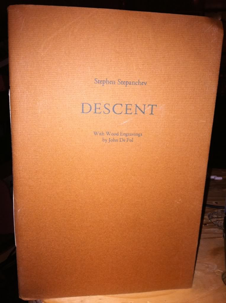 Image for Descent by Stepanchev, Stephen