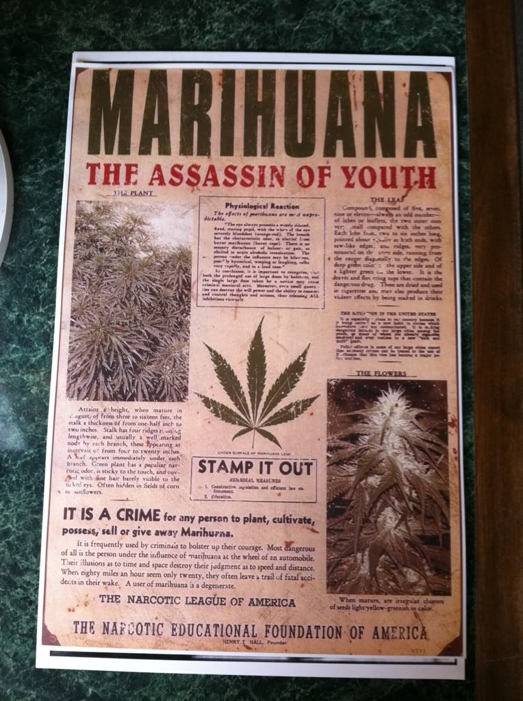Marihuana Assassin of Youth Anti Drug Poster Marihuana Assassin of Youth Anti Drug Poster