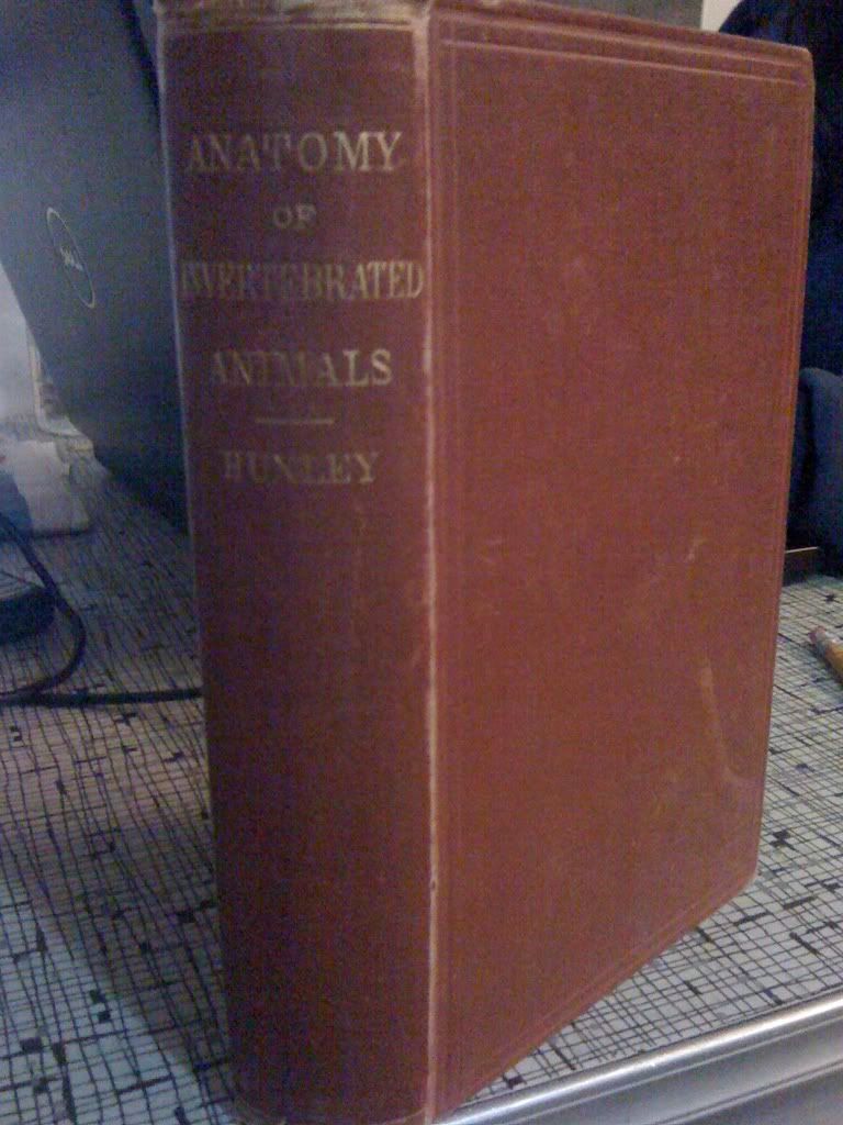 A Manuals of the Anatomy Of Invertebrated Animals, Huxley, Thomas H. A Manuals of the Anatomy Of Invertebrated Animals, Huxley, Thomas H.