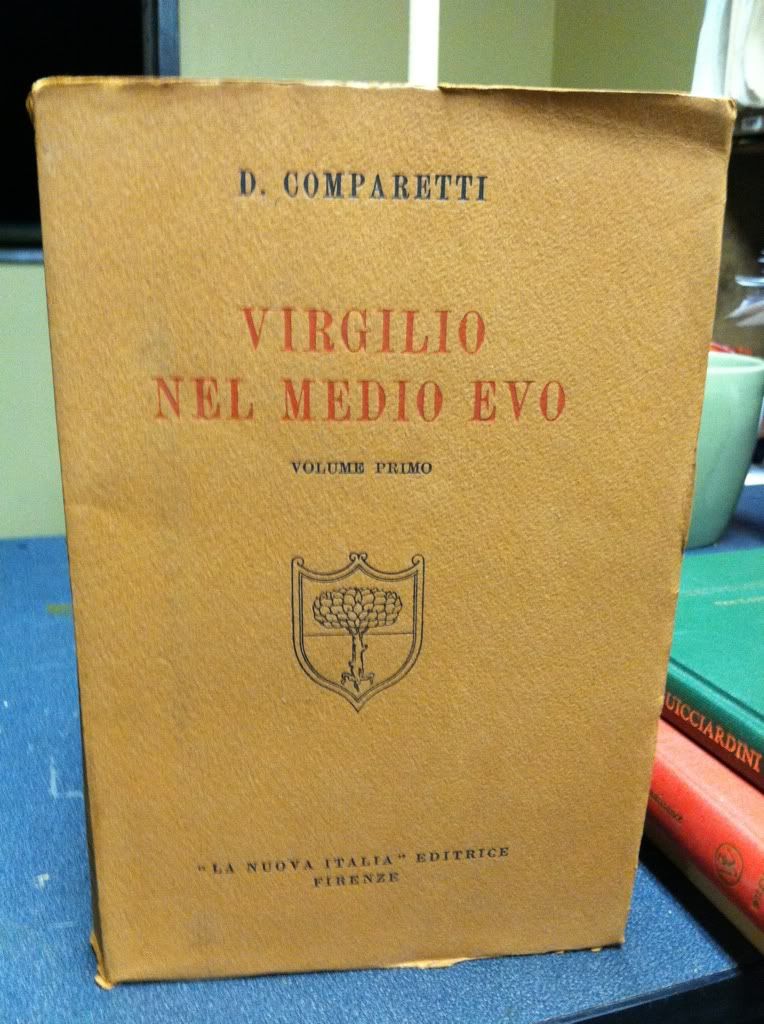 Image for Virgilio Nel Medio Evo