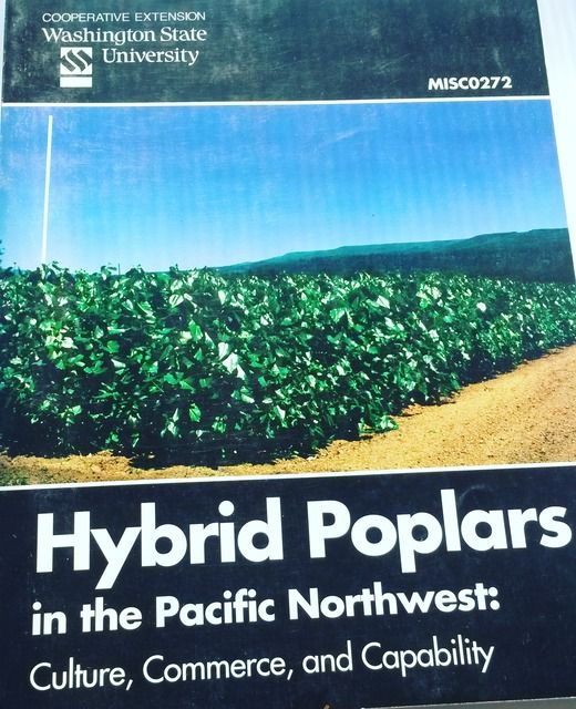 Image for Hybrid Poplars in the Pacific Northwest: Culture, Commerce, and Capability {MISCO272} Symposium Proceedings April 7 - 9, 1999 - Double Tree Hotel Pasco, Washington, USA
