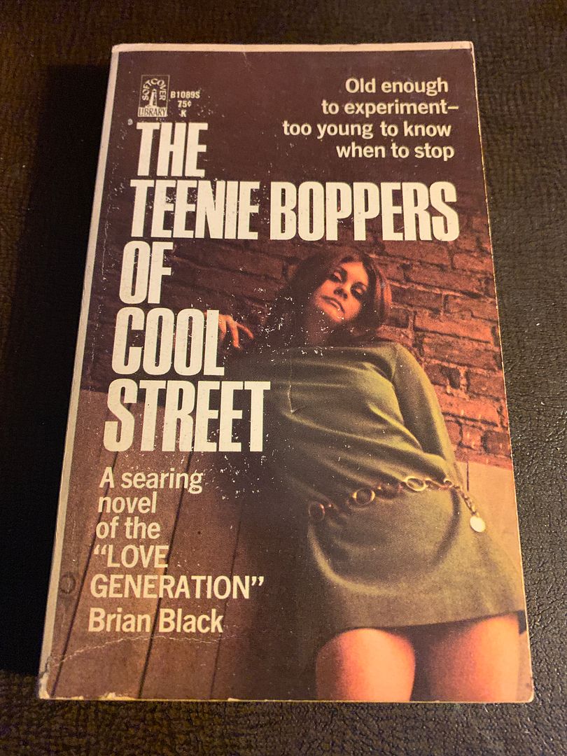 Image for The Teenie Boppers of Cool Street by Black, Brian