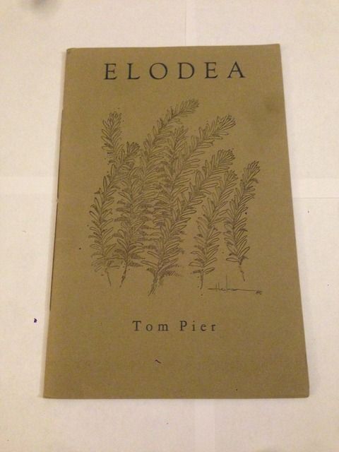 Elodea, Pier, Tom Elodea, Pier, Tom