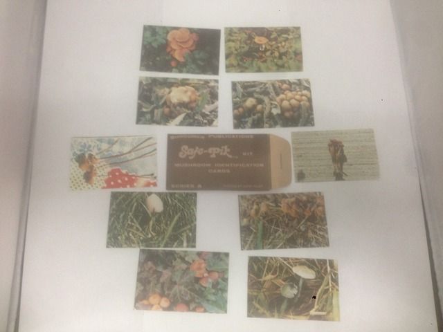 Safe-pik mushroom identification cards, Allen, John W Safe-pik mushroom identification cards, Allen, John W