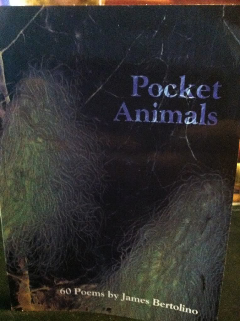 Image for Pocket Animals