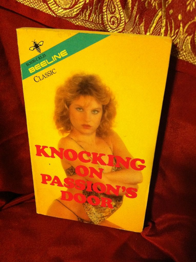 Image for Knocking on Passion's Door by Lance, Alan