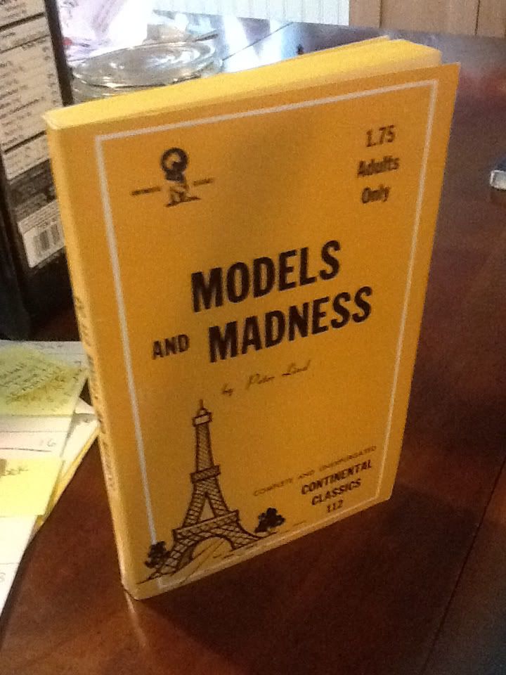 Image for MODELS AND MADNESS