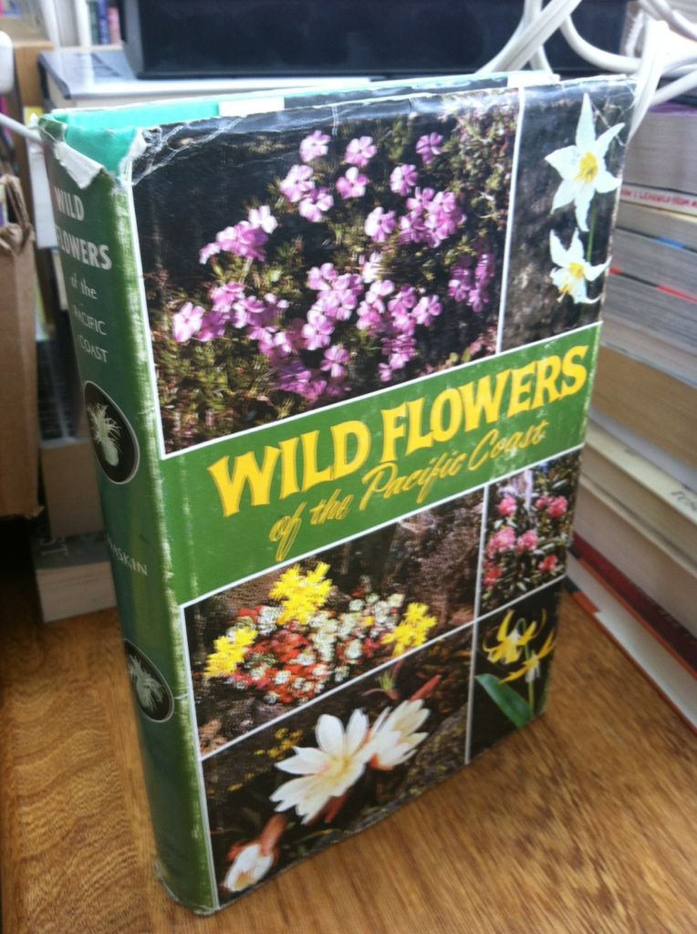 Image for Wild Flowers of the Pacific Coast