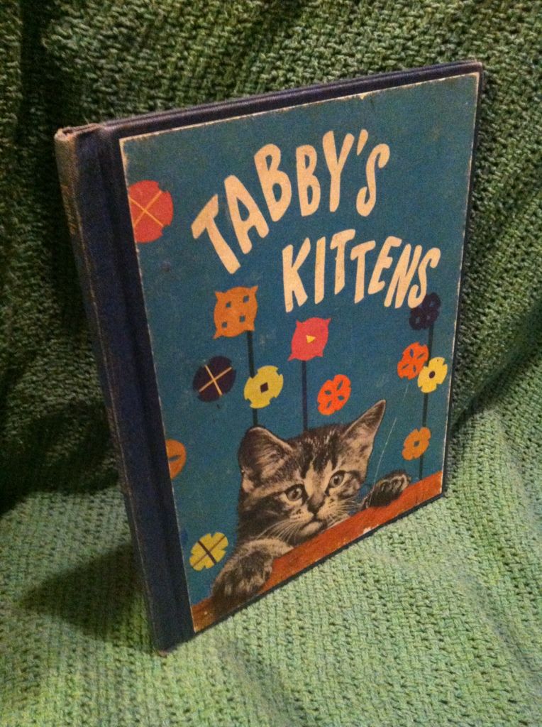 Image for Tabby's kittens