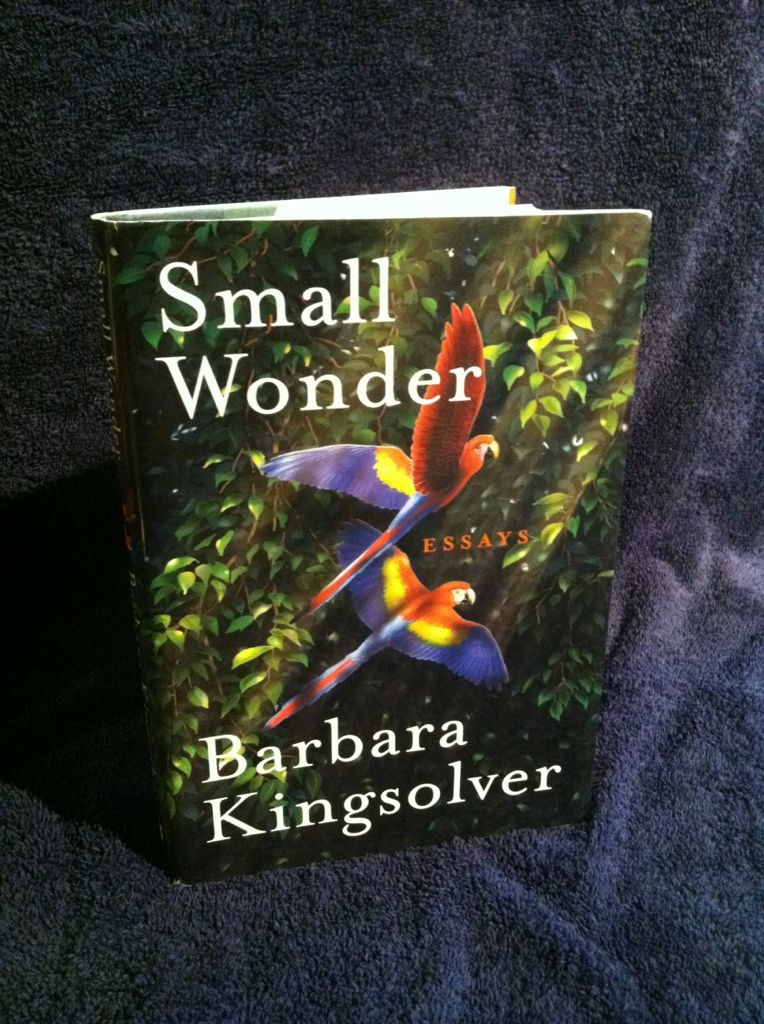 small wonder essay small wonder essay