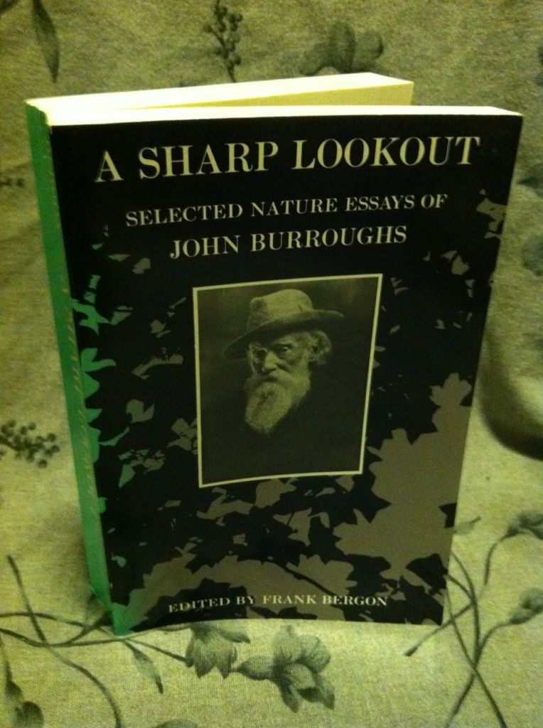Image for A Sharp Lookout: Selected Nature Essays of John Burroughs