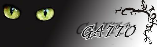 ¿Nombre y/ó video? [Resuelto]