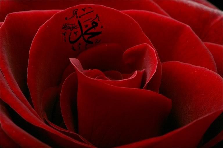 islamic wallpapers Pictures, Images and Photos