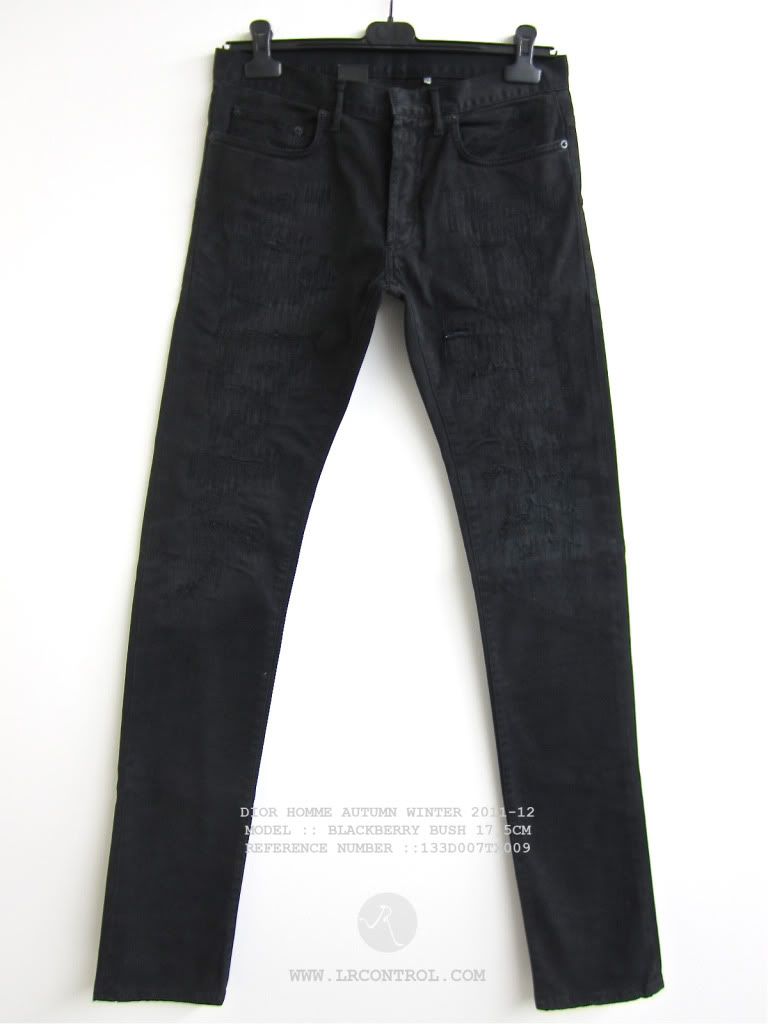 DIORHOMMEAW2011-12-BlackberryBush175cm1200x1600front.jpg
