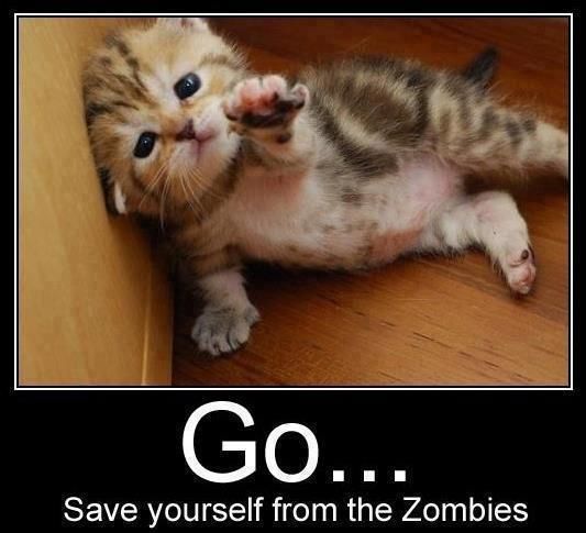 go-save-yourself-from-the-zombies.jpg