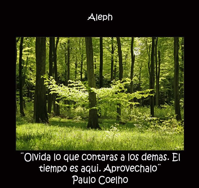 coelho coelho
