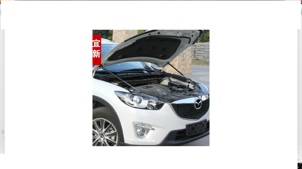 Phụ kiện đồ chơi cho tất cả các loại xe Mazda, Hyundai, Kia, Honda, VOLKSWAGEN - 18