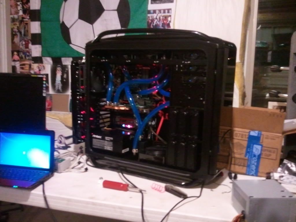 2010-12-11221451.jpg