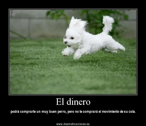 vive y disfruta la vida vive y disfruta la vida