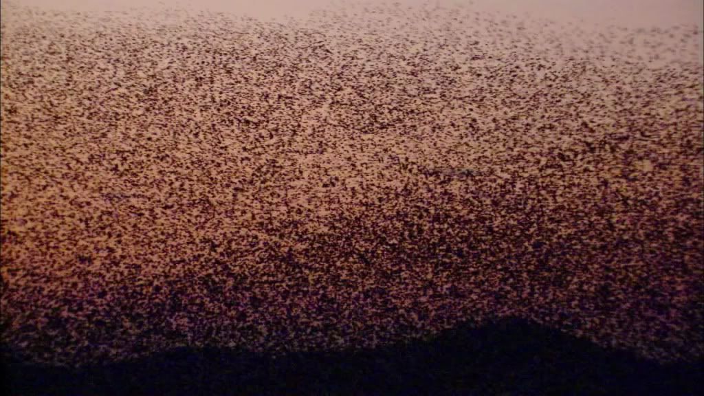Imágenes asombrosas del planeta Tierra (Fotos Reales) Imágenes asombrosas del planeta Tierra (Fotos Reales)