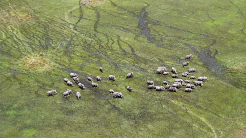 Imágenes asombrosas del planeta Tierra (Fotos Reales) Imágenes asombrosas del planeta Tierra (Fotos Reales)