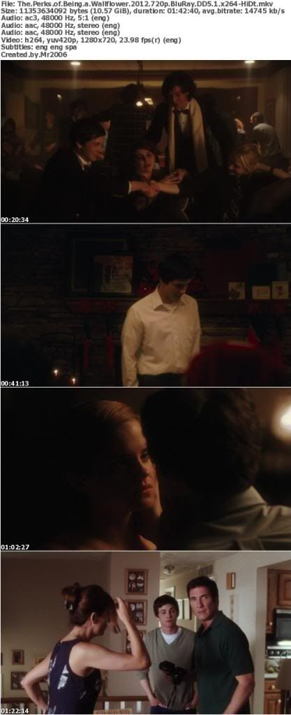 The Perks of Being a Wallflower (2012) 720p BluRay DD5.1 x264-HiDt The Perks of Being a Wallflower (2012) 720p BluRay DD5.1 x264-HiDt