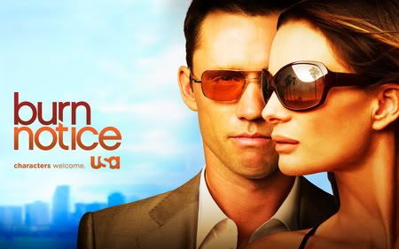 burn notice: the fall of sam axe 720p