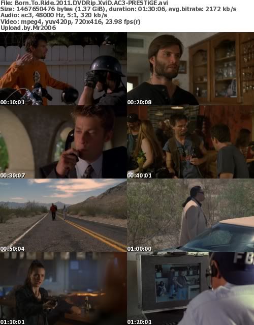 Born To Ride 2011 DVDRip XviD AC3-PRESTiGE Born To Ride 2011 DVDRip XviD AC3-PRESTiGE