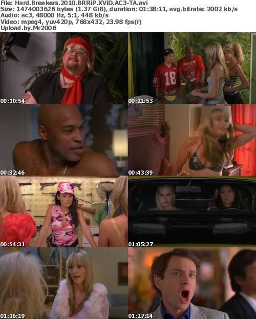 Hard Breakers (2010) BRRiP XViD AC3-TA