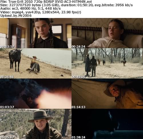 True Grit (2010) 720p BDRiP XViD AC3-HiTM4N