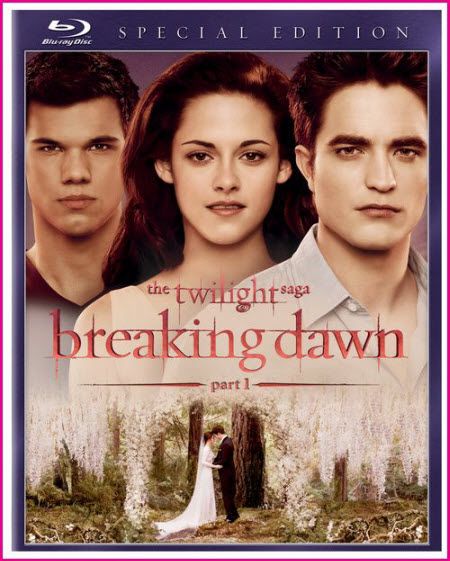 Twilight Saga Breaking Dawn Part 1 (2011) BRRip XviD-playXD