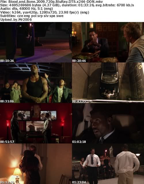 Blood And Bone (2009) 720p BluRay DTS x264-DON